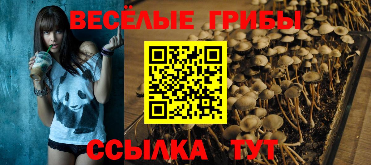 Галлюциногенные грибы прущие грибы Уссурийск